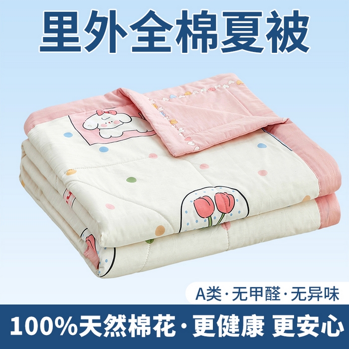 91家纺网 家纺一手货源 找家纺 （总）黛妮雅 2026新款全棉印花棉花被纯棉单件夏被夏凉被空调被 夏被四件套
