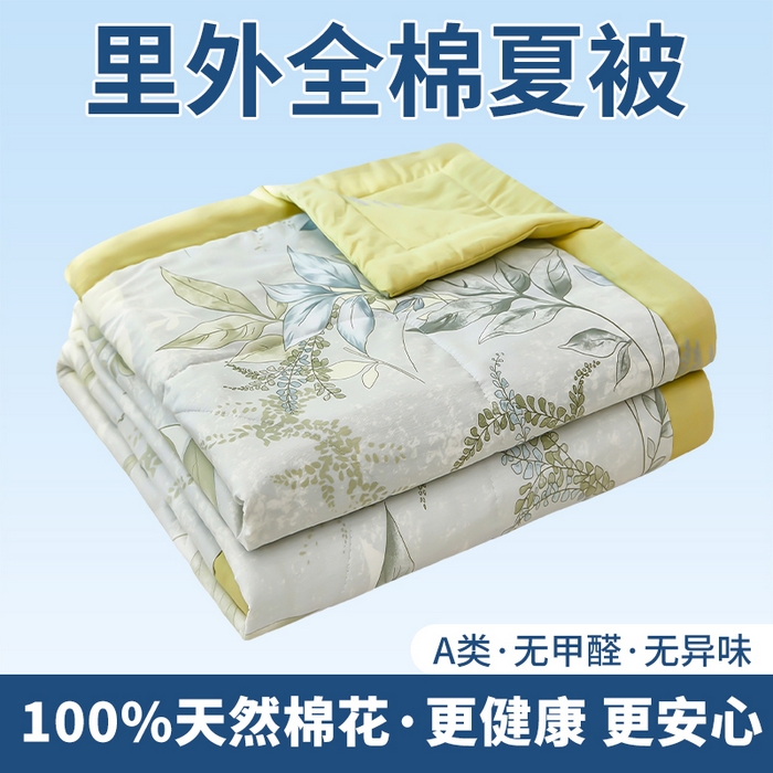 91家纺网 家纺一手货源 找家纺 （总）黛妮雅 2026新款全棉印花棉花被纯棉单件夏被夏凉被空调被 夏被四件套