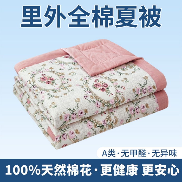 91家纺网 家纺一手货源 找家纺 （总）黛妮雅 2026新款全棉印花棉花被纯棉单件夏被夏凉被空调被 夏被四件套