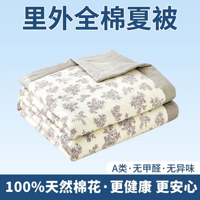 91家纺网 家纺一手货源 找家纺 （总）黛妮雅 2026新款全棉印花棉花被纯棉单件夏被夏凉被空调被 夏被四件套