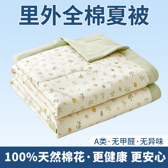 91家纺网 家纺一手货源 找家纺 （总）黛妮雅 2026新款全棉印花棉花被纯棉单件夏被夏凉被空调被 夏被四件套