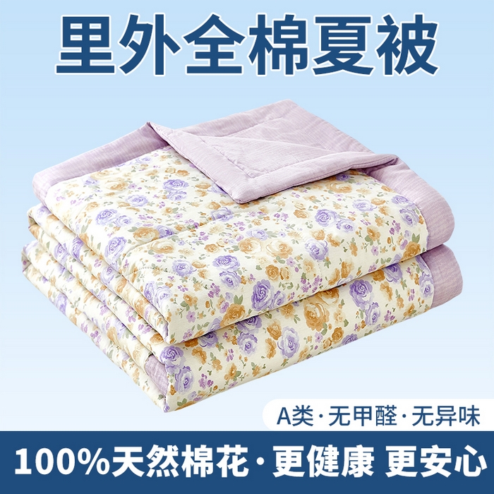 91家纺网 家纺一手货源 找家纺 （总）黛妮雅 2026新款全棉印花棉花被纯棉单件夏被夏凉被空调被 夏被四件套