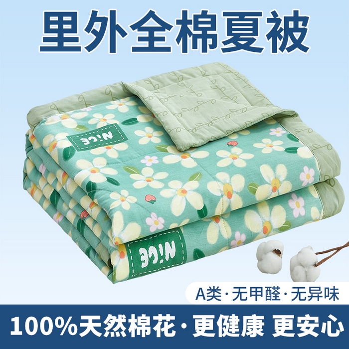 91家纺网 家纺一手货源 找家纺 （总）黛妮雅 2026新款全棉印花棉花被纯棉单件夏被夏凉被空调被 夏被四件套