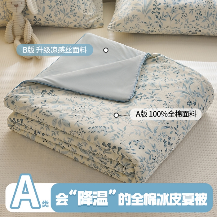 暖阳 2026新款A全棉B凉感丝夏被夏凉被空调被 小冰皮-兰花