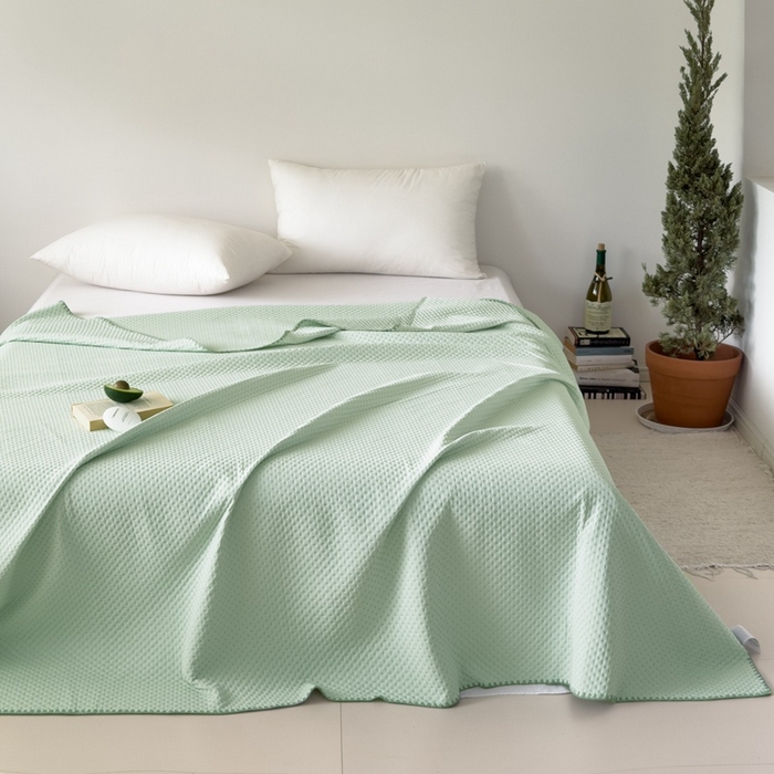 91家纺网 家纺一手货源 找家纺 法芙娜家纺 2026新款双面160克锦纶凉感小冰皮毯 绿色