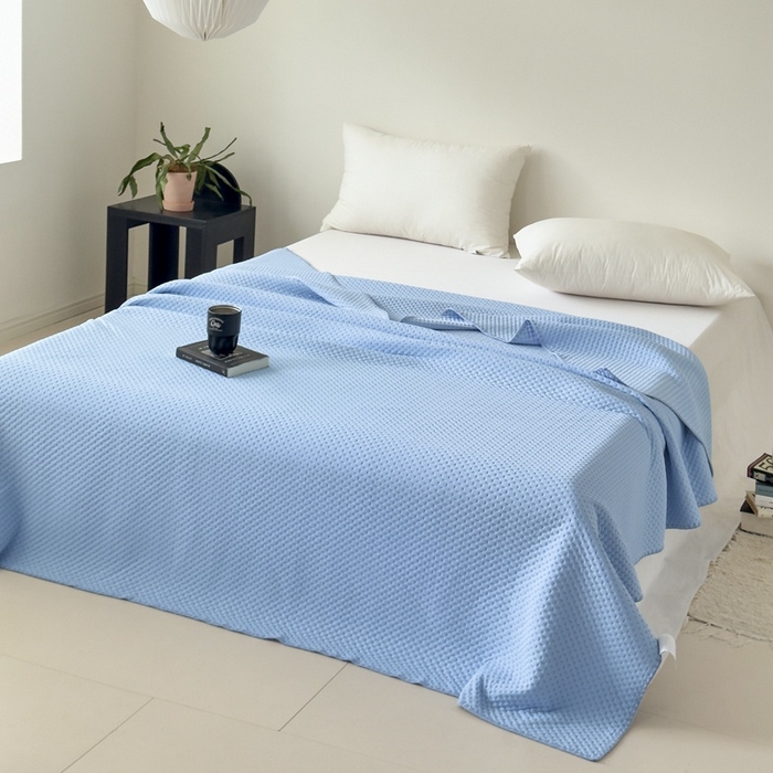 91家纺网 家纺一手货源 找家纺 法芙娜家纺 2026新款双面160克锦纶凉感小冰皮毯 浅蓝