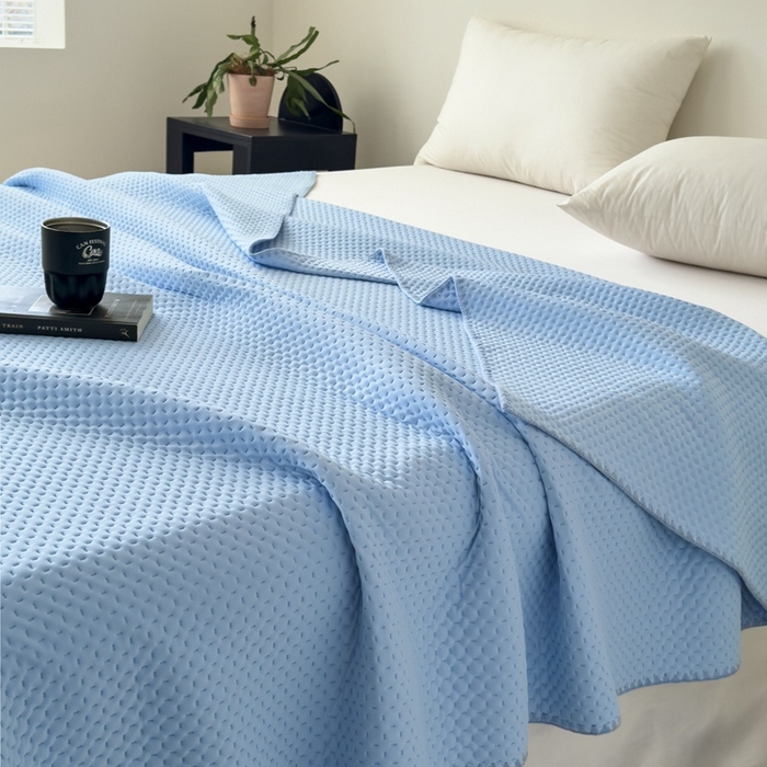 91家纺网 家纺一手货源 找家纺 法芙娜家纺 2026新款双面160克锦纶凉感小冰皮毯 浅蓝