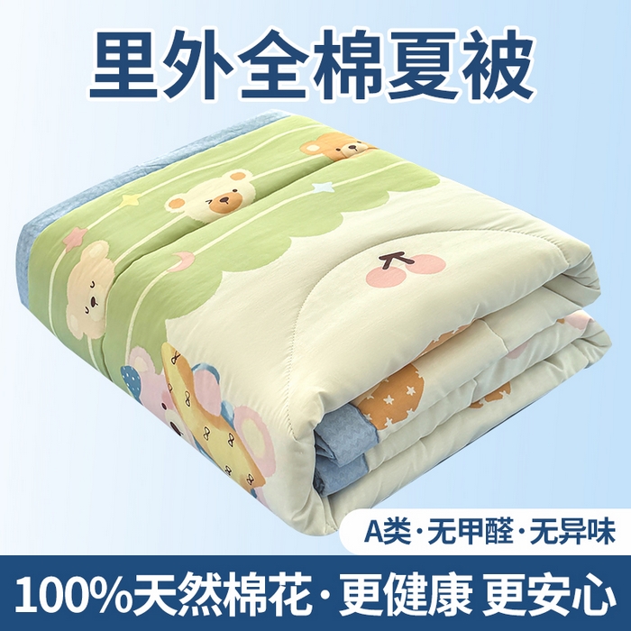 瑶瑶家居 2026新款A类里外全棉夏凉被四件套-风格三 忆伴时光