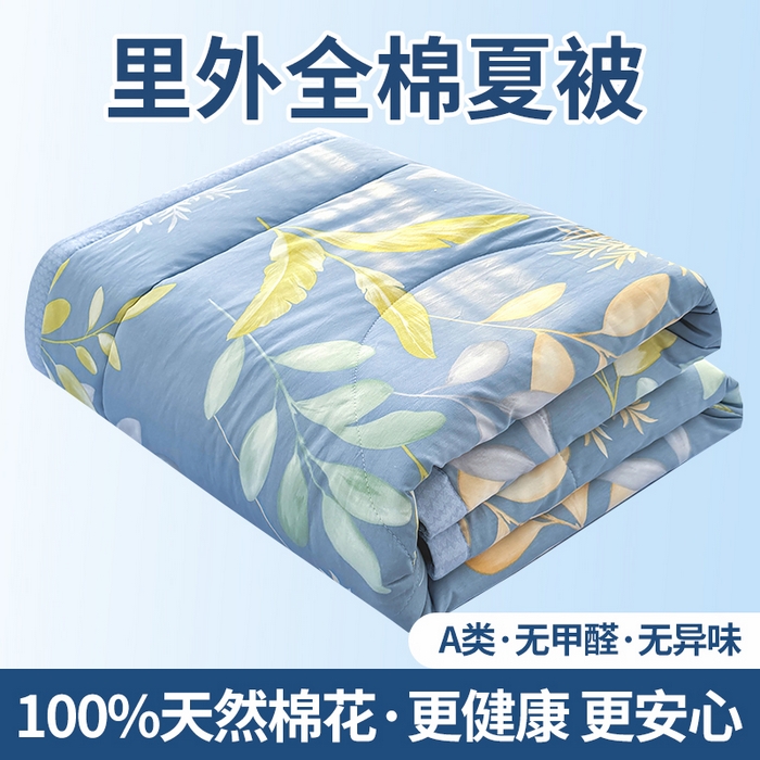 寝美资家居 2026新款A类里外全棉夏凉被四件套-风格三 小蓝町