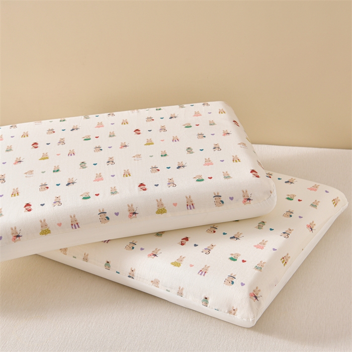 小桃姐家纺 2025新款印花卡通记忆棉枕 枕头枕芯 童年