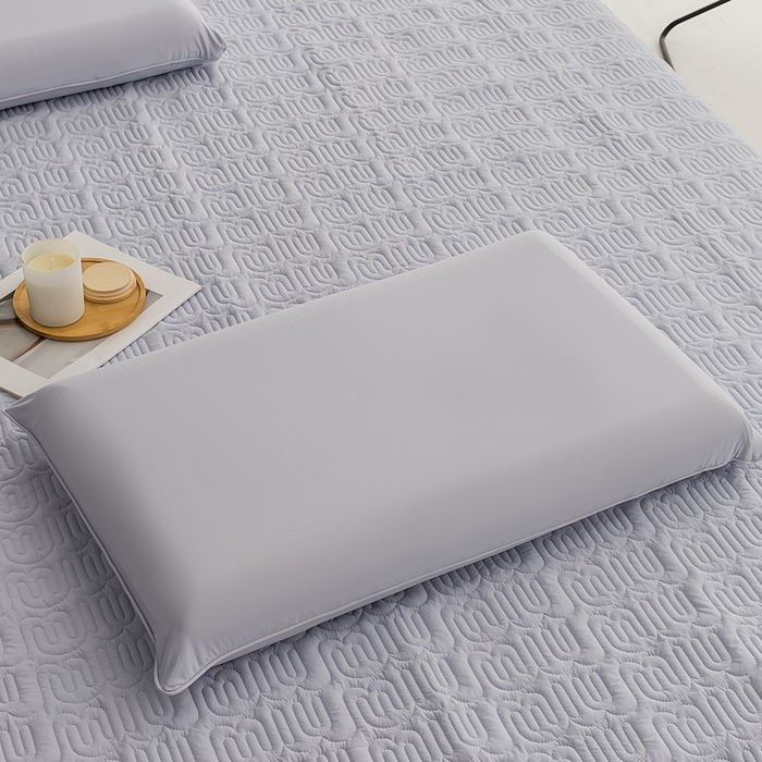 91家纺网 家纺一手货源 找家纺 恩和家纺 2026新款锦氨凉感丝夹棉床护垫 冰美式凉感垫 芦花灰