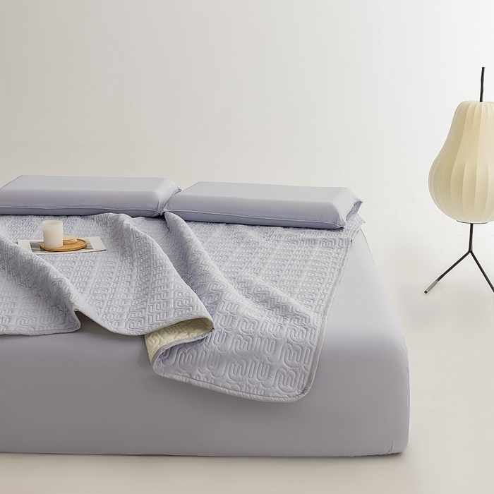 91家纺网 家纺一手货源 找家纺 恩和家纺 2026新款锦氨凉感丝夹棉床护垫 冰美式凉感垫 芦花灰