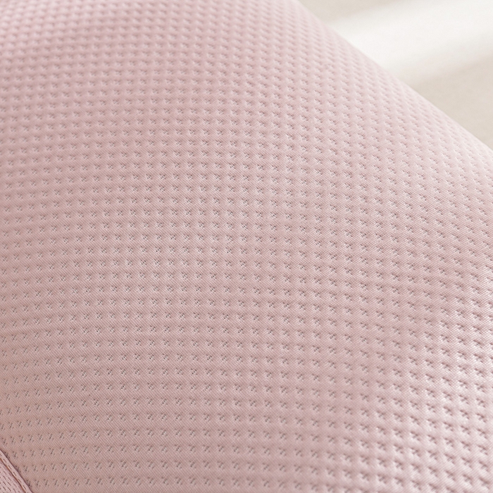 91家纺网 家纺一手货源 找家纺 （总）小桃姐家纺 2025新款熊猫卡通小恐龙刺绣荞麦枕 枕头枕芯