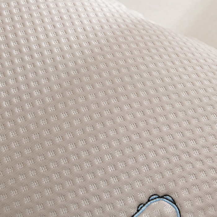 91家纺网 家纺一手货源 找家纺 小桃姐家纺 2025新款熊猫卡通小恐龙刺绣荞麦枕 枕头枕芯 浅咖-小恐龙