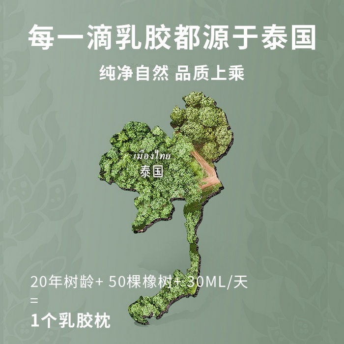 91家纺网 家纺一手货源 找家纺 （总）小桃姐家纺 2025新款云朵呼呼护颈枕头枕芯立体绗缝乳胶片