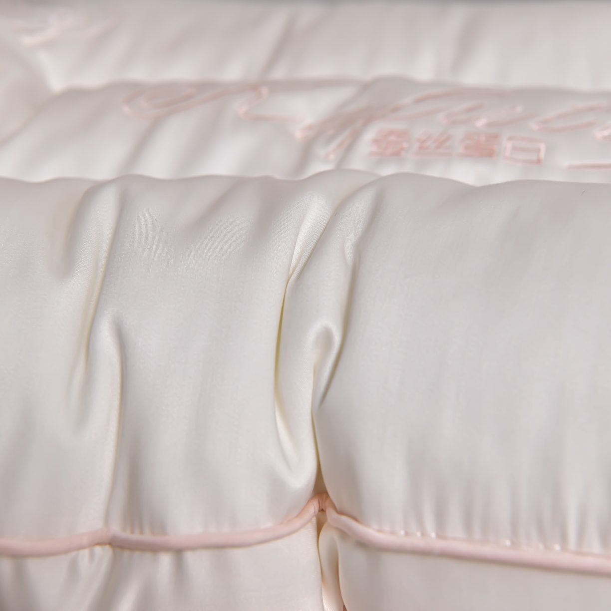 91家纺网 家纺一手货源 找家纺 （总）小桃姐家纺 2025年新款蚕丝刺绣蝴蝶枕枕头枕芯定型款工艺款