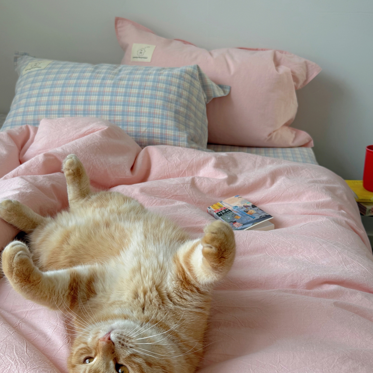 91家纺网 家纺一手货源 找家纺 （总）觅糖家纺 2026新款ins水洗棉全棉纯棉格子款双针款四件套（会员-5）