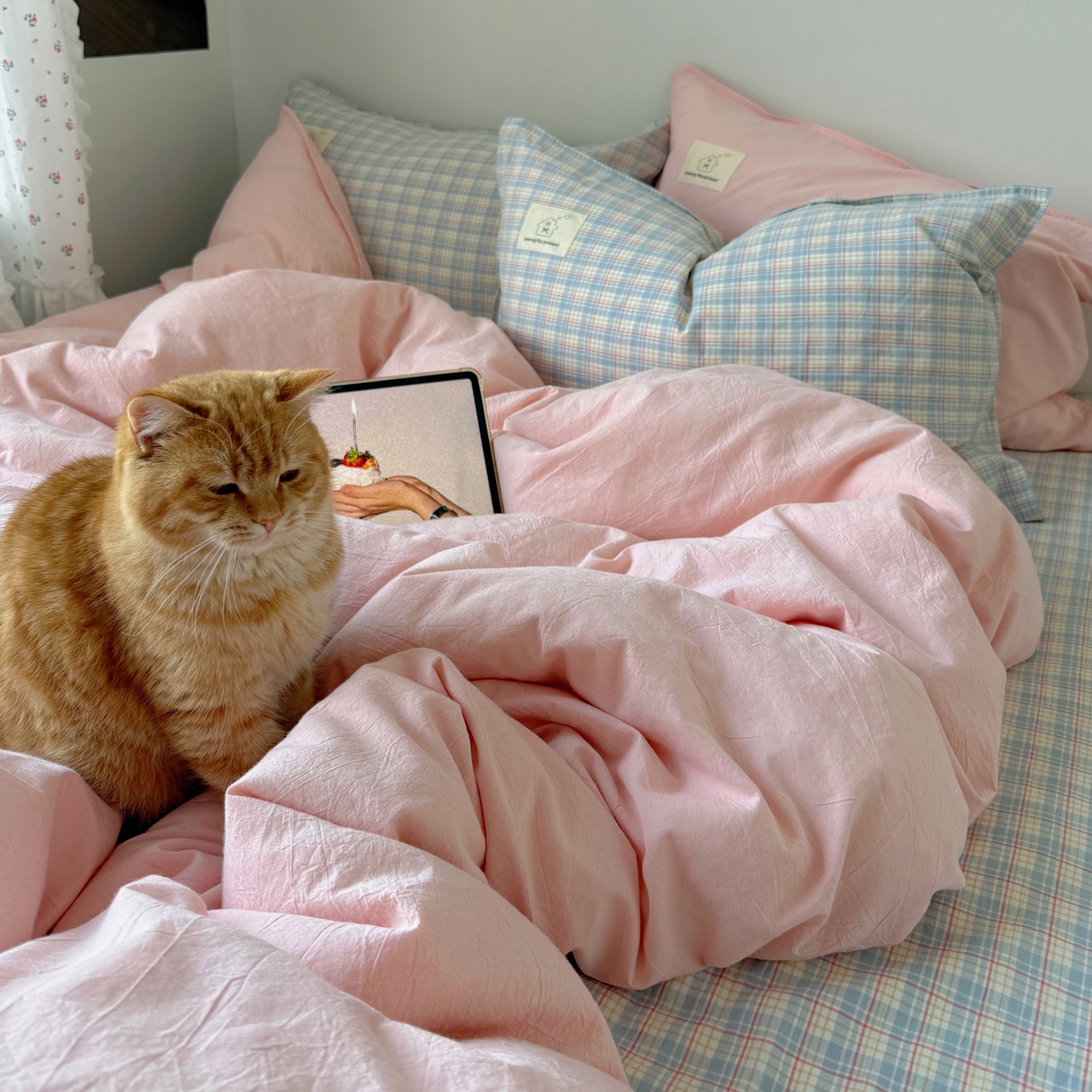 91家纺网 家纺一手货源 找家纺 （总）觅糖家纺 2026新款ins水洗棉全棉纯棉格子款双针款四件套（会员-5）