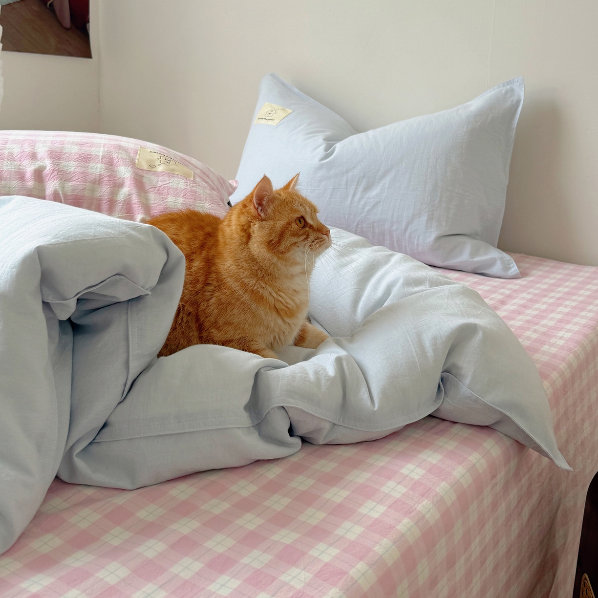 91家纺网 家纺一手货源 找家纺 觅糖家纺 2026新款ins水洗棉全棉纯棉格子款双针款四件套（会员-5） ins云汀粉格