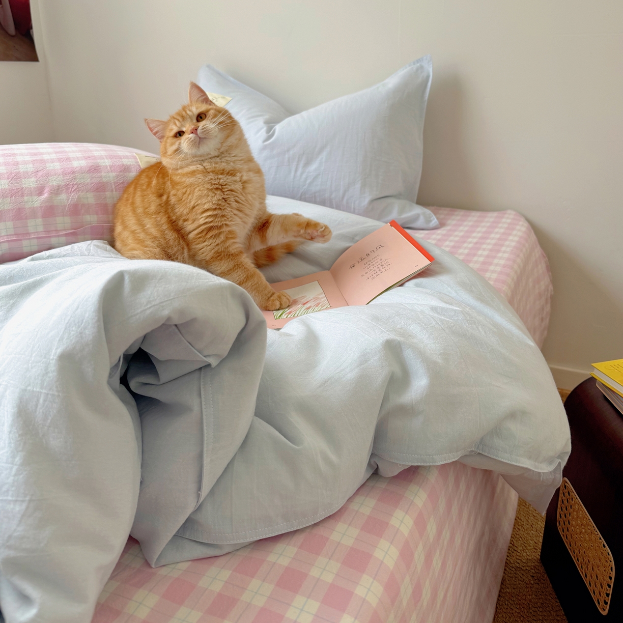 91家纺网 家纺一手货源 找家纺 觅糖家纺 2026新款ins水洗棉全棉纯棉格子款双针款四件套（会员-5） ins云汀粉格