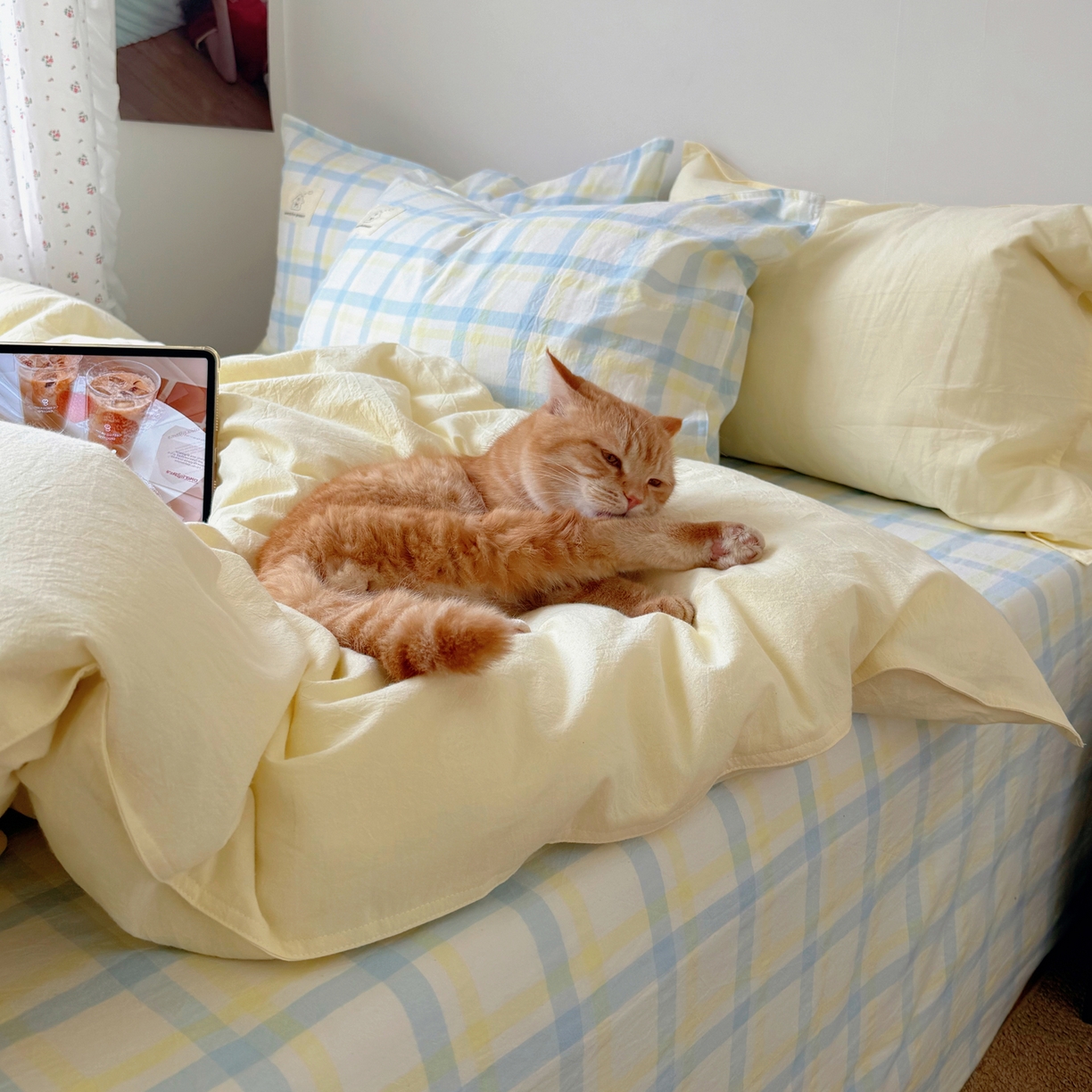 91家纺网 家纺一手货源 找家纺 觅糖家纺 2026新款ins水洗棉全棉纯棉格子款双针款四件套（会员-5） ins晴天蓝格