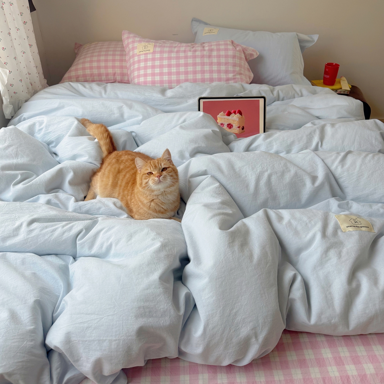 91家纺网 家纺一手货源 找家纺 觅糖家纺 2026新款ins水洗棉全棉纯棉格子款双针款四件套（会员-5） ins云汀粉格