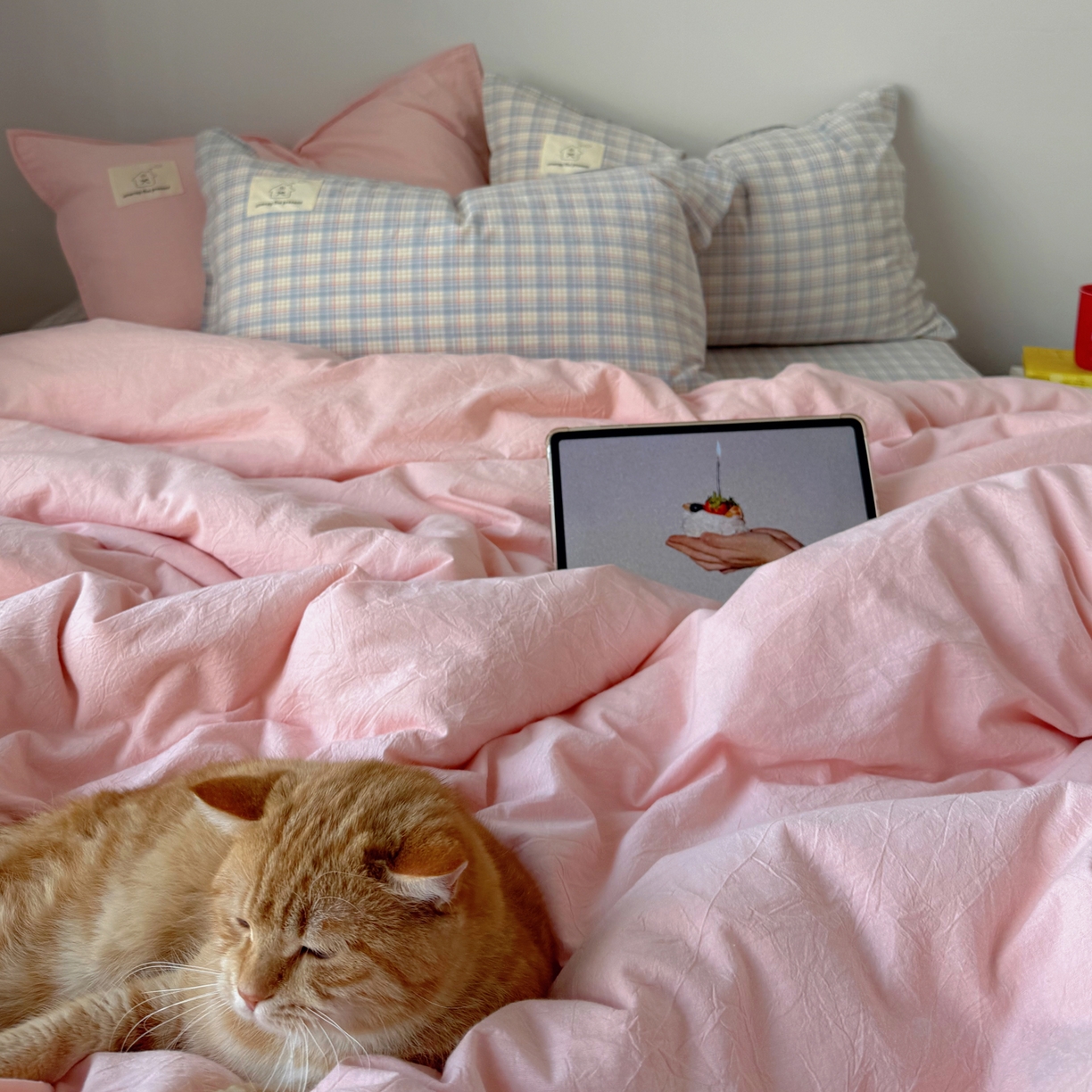 91家纺网 家纺一手货源 找家纺 （总）觅糖家纺 2026新款ins水洗棉全棉纯棉格子款双针款四件套（会员-5）