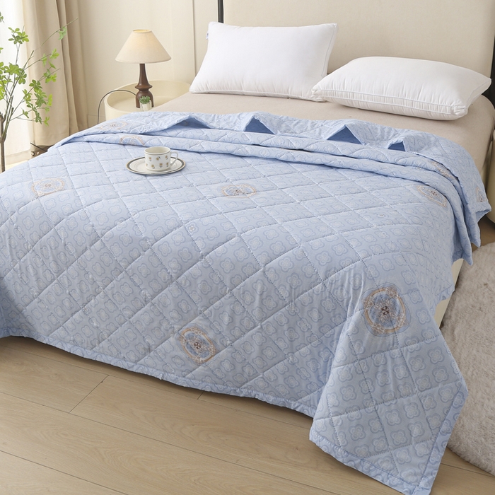 被多多被业 2026新款亲肤棉夏被空调被夏凉被 知秋