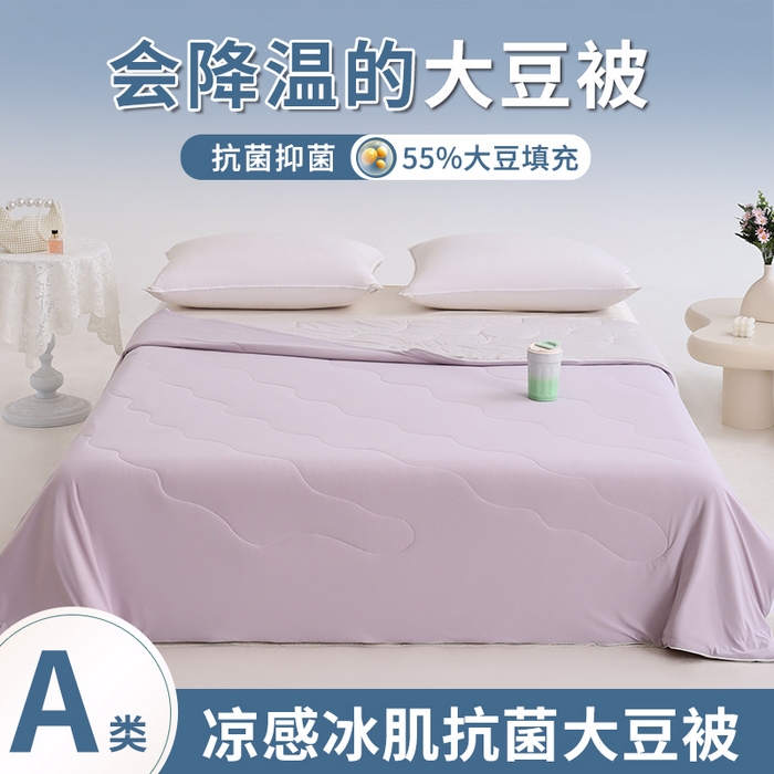 91家纺网 家纺一手货源 找家纺 憨豆家纺 2026春夏新款凉感丝A类锦氨（170克）55大豆抗菌夏被夏凉被空调被（配礼盒） 曙光紫+幻影灰