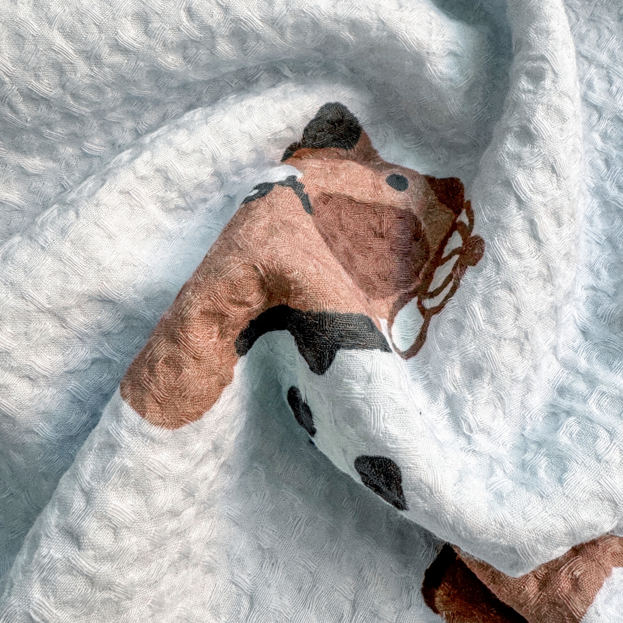 91家纺网 家纺一手货源 找家纺 雯雨家纺 2026新款里外全棉华夫格三角针夏被 瑞乐兰