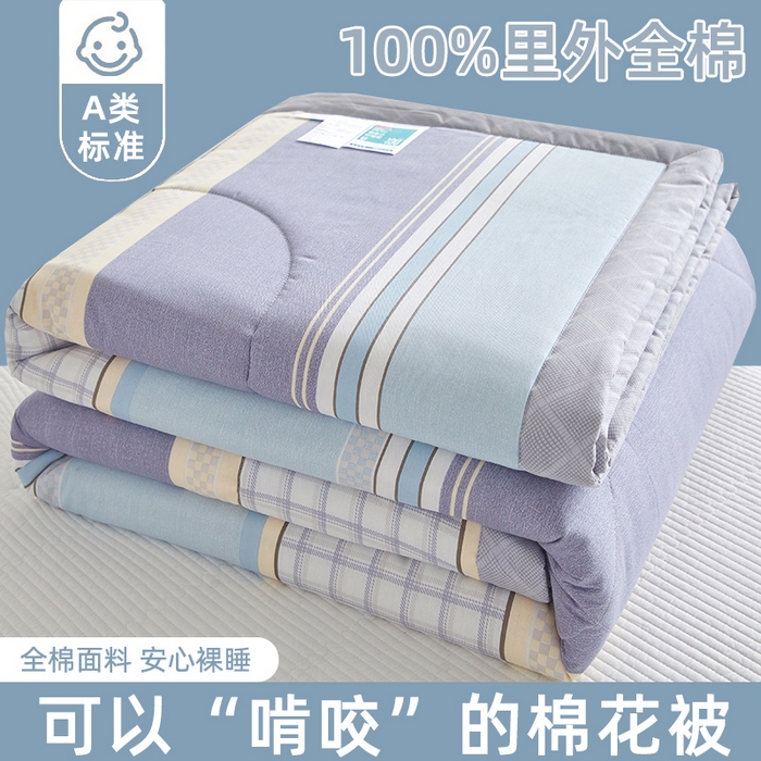 91家纺网 家纺一手货源 找家纺 海洋家纺 2026新款A类里外全棉印花夏被四件套  柏拉图 蓝