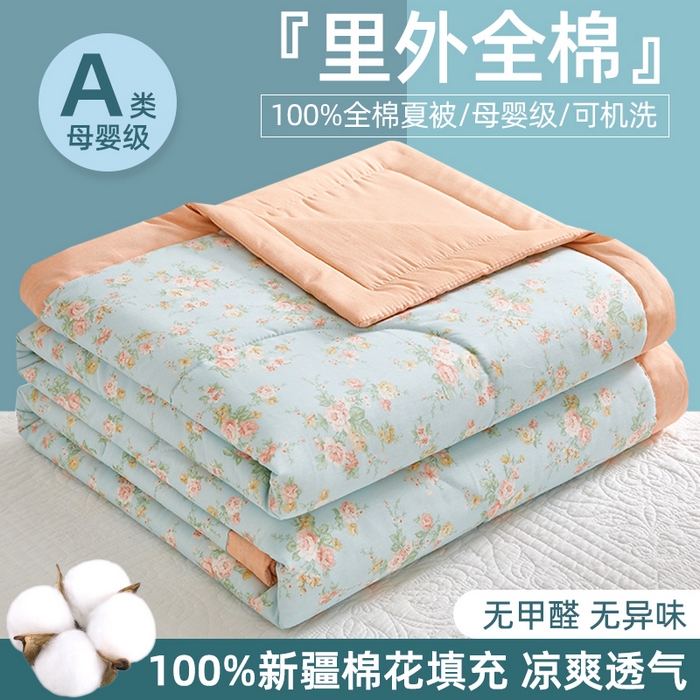 91家纺网 家纺一手货源 找家纺 （总）海洋家纺 2026新款100%里外全棉夏被印花空调被夏凉被薄被子棉花夏被四件套 风格二