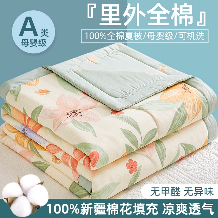 91家纺网 家纺一手货源 找家纺 （总）海洋家纺 2026新款100%里外全棉夏被印花空调被夏凉被薄被子棉花夏被四件套 风格二