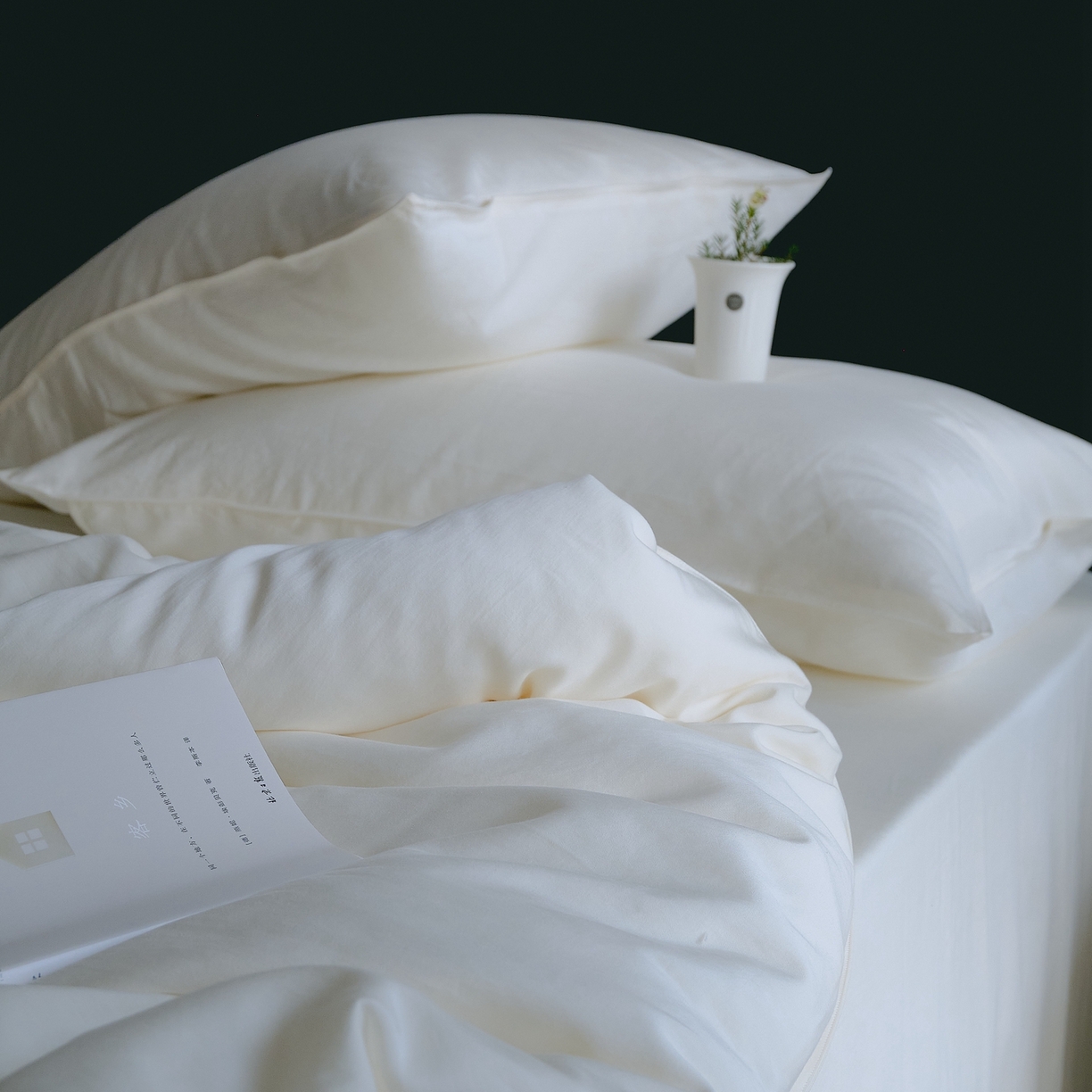 （总）涞澳家纺 2026新款80水洗天丝棉四件套-简序