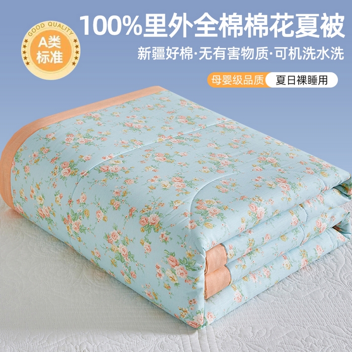 91家纺网 家纺一手货源 找家纺 （总）海洋家纺 2026新款100%里外全棉夏被印花空调被夏凉被薄被子棉花夏被四件套 风格三