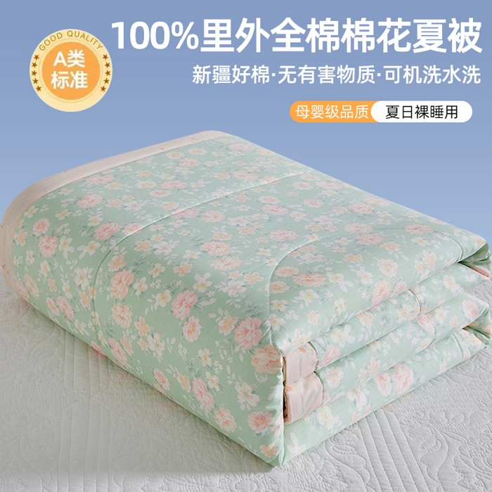 91家纺网 家纺一手货源 找家纺 （总）海洋家纺 2026新款100%里外全棉夏被印花空调被夏凉被薄被子棉花夏被四件套 风格三
