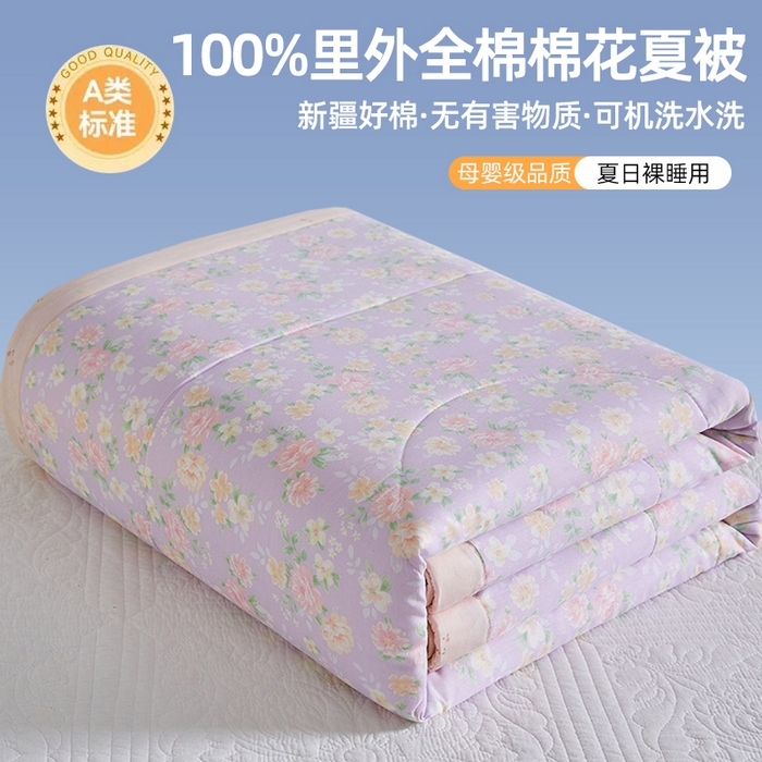 91家纺网 家纺一手货源 找家纺 （总）海洋家纺 2026新款100%里外全棉夏被印花空调被夏凉被薄被子棉花夏被四件套 风格三