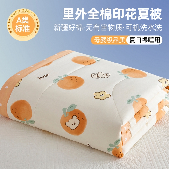 91家纺网 家纺一手货源 找家纺 （总）海洋家纺 2026新款100%里外全棉夏被印花空调被夏凉被薄被子棉花夏被四件套 风格三