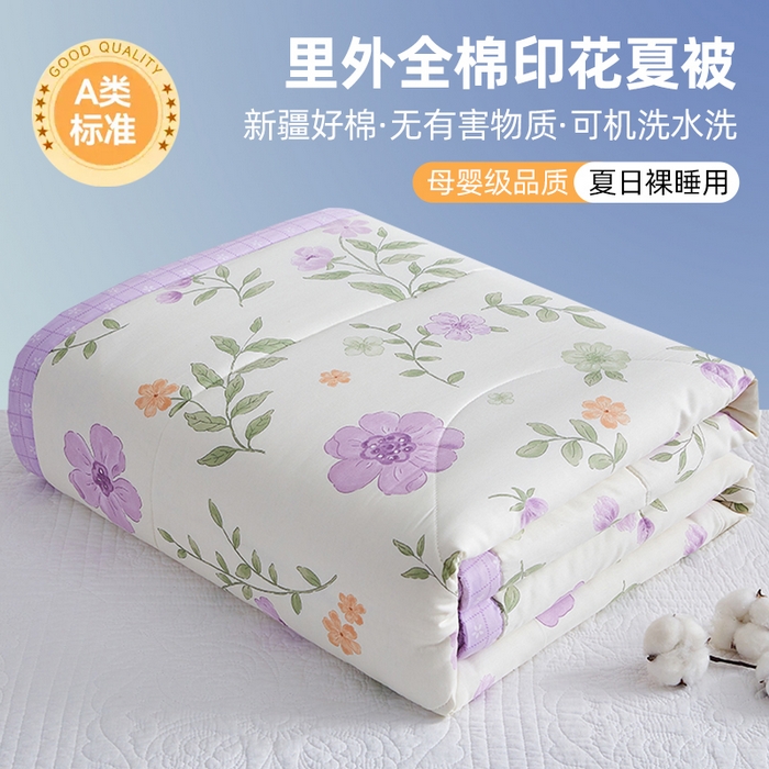 91家纺网 家纺一手货源 找家纺 （总）海洋家纺 2026新款100%里外全棉夏被印花空调被夏凉被薄被子棉花夏被四件套 风格三