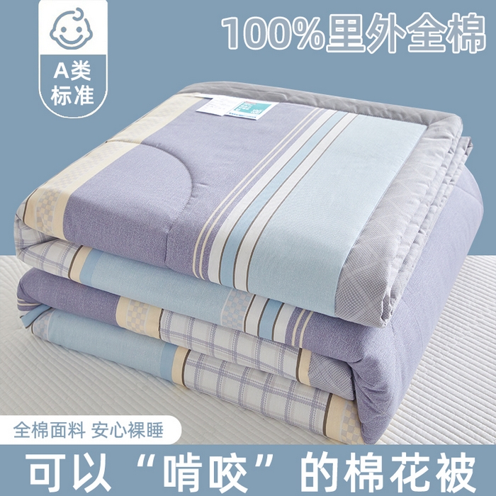 91家纺网 家纺一手货源 找家纺 （总）海洋家纺 2026新款A类里外全棉棉花夏被-格子系列 风格二