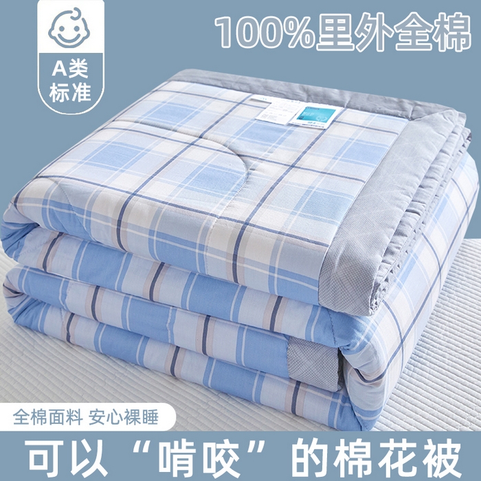 91家纺网 家纺一手货源 找家纺 （总）海洋家纺 2026新款A类里外全棉棉花夏被-格子系列 风格二