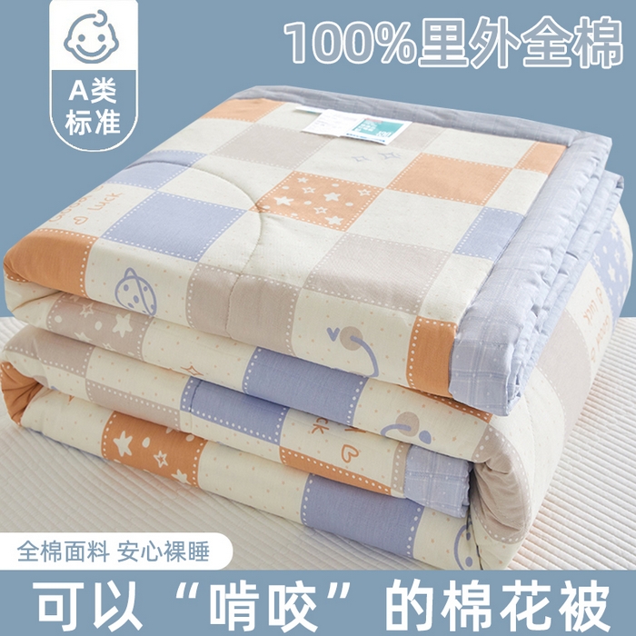 91家纺网 家纺一手货源 找家纺 （总）海洋家纺 2026新款A类里外全棉棉花夏被-格子系列 风格二