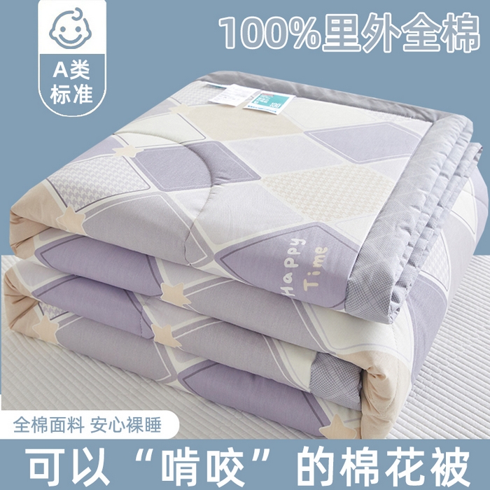 91家纺网 家纺一手货源 找家纺 （总）海洋家纺 2026新款A类里外全棉棉花夏被-格子系列 风格二