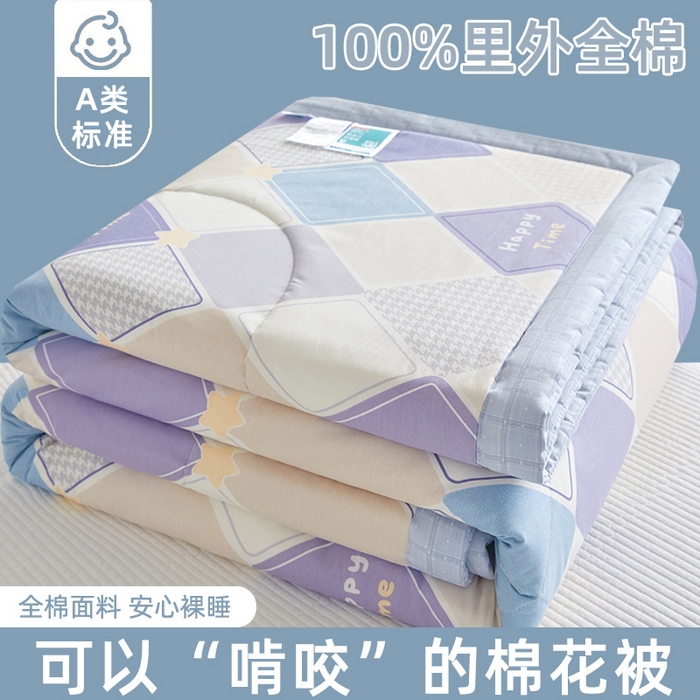 91家纺网 家纺一手货源 找家纺 （总）海洋家纺 2026新款A类里外全棉棉花夏被-格子系列 风格二