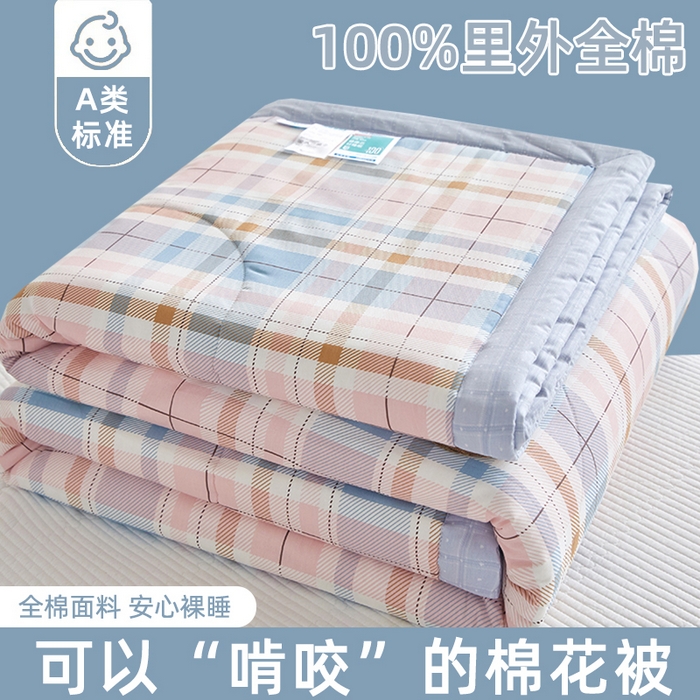 91家纺网 家纺一手货源 找家纺 （总）海洋家纺 2026新款A类里外全棉棉花夏被-格子系列 风格二