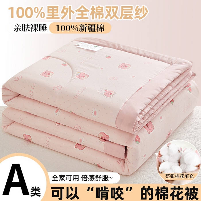 91家纺网 家纺一手货源 找家纺 （总）海洋家纺 2026新款全棉双层纱夏被被子被芯 风格二