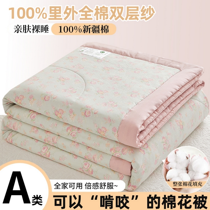 海洋家纺 2026新款全棉双层纱夏被被子被芯 郁见