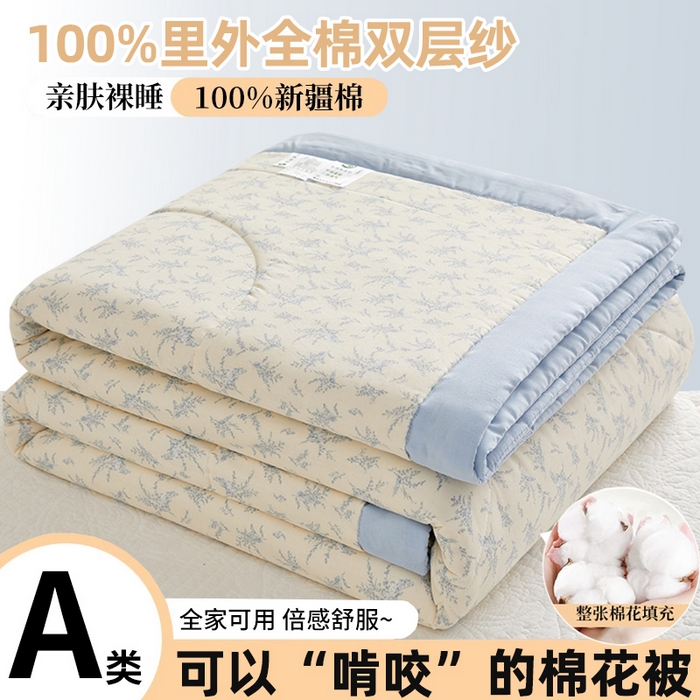 海洋家纺 2026新款全棉双层纱夏被被子被芯 诺言