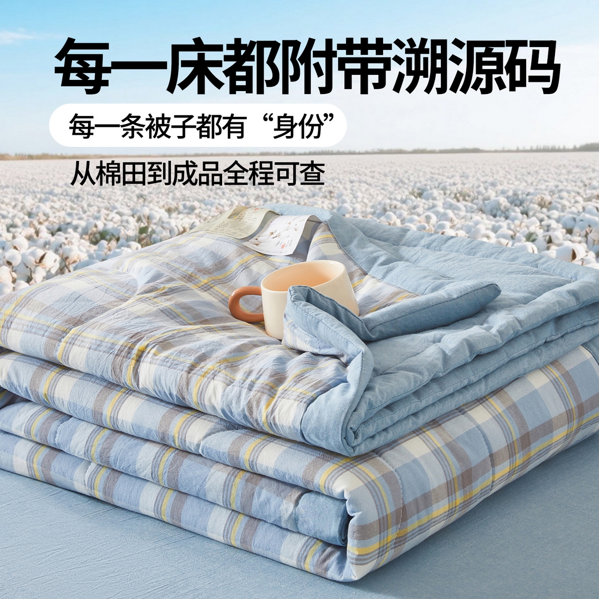 91家纺网 家纺一手货源 找家纺 西域种棉人·千百笠 2026新款A类里外全棉夏凉被100%新疆棉纯棉全棉填充无印格子款空调被夏被 里外全棉-印象 蓝格