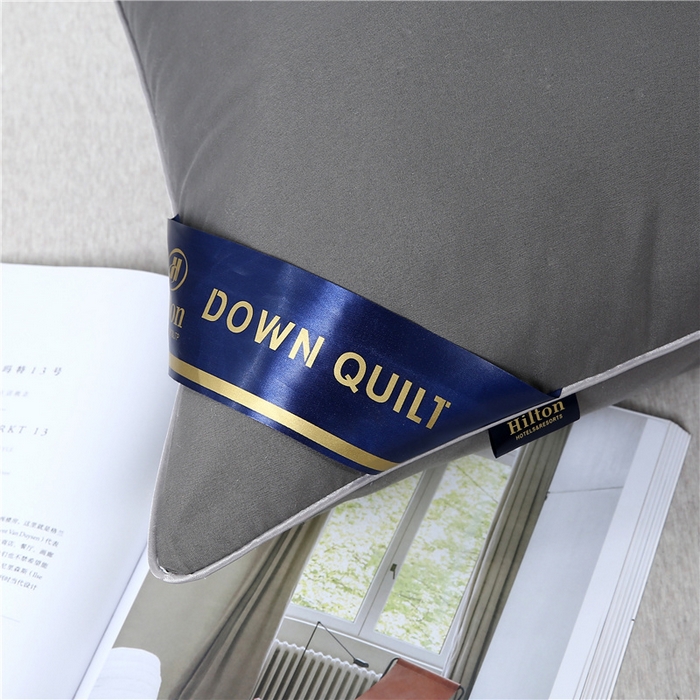91家纺网 家纺一手货源 找家纺 乐窝家纺仓储 2026新款希尔顿酒店同款羽丝绒枕枕头枕芯 灰色